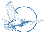 Brain Injury Rehab Toronto logo